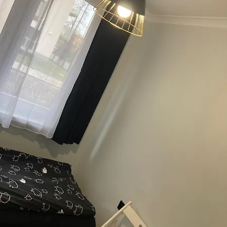 Obok Uczelni Collegium Witelona Ostello *