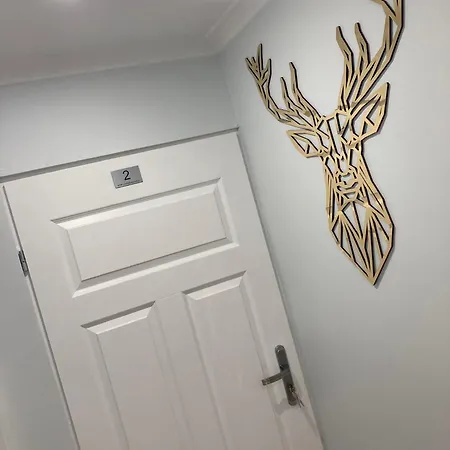 Ostello Obok Uczelni Collegium Witelona *