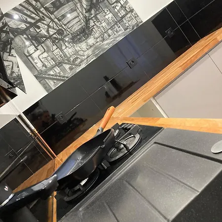 Obok Uczelni Collegium Witelona