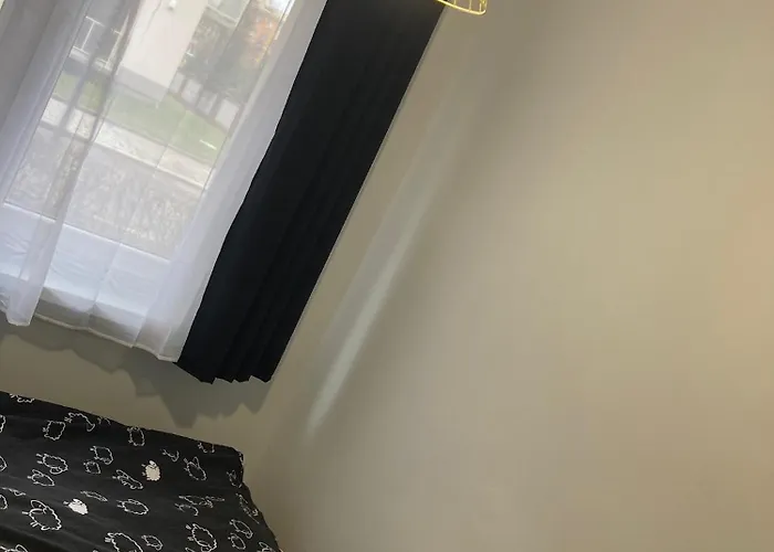 Obok Uczelni Collegium Witelona Hostel *