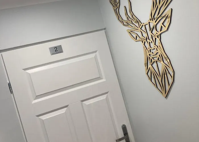 Hostel Obok Uczelni Collegium Witelona *