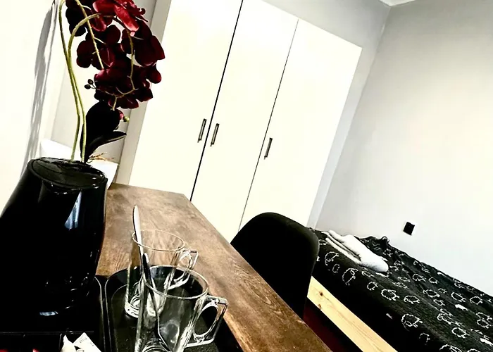 Obok Uczelni Collegium Witelona