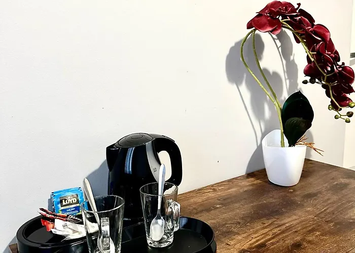 Obok Uczelni Collegium Witelona Hostel